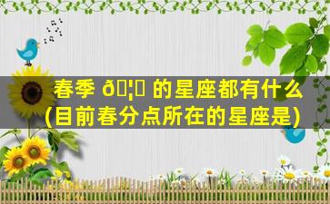 春季 🦟 的星座都有什么(目前春分点所在的星座是)